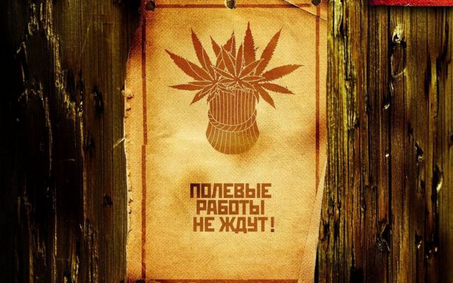 Картинки с надписями с претензией на тонкий юмор