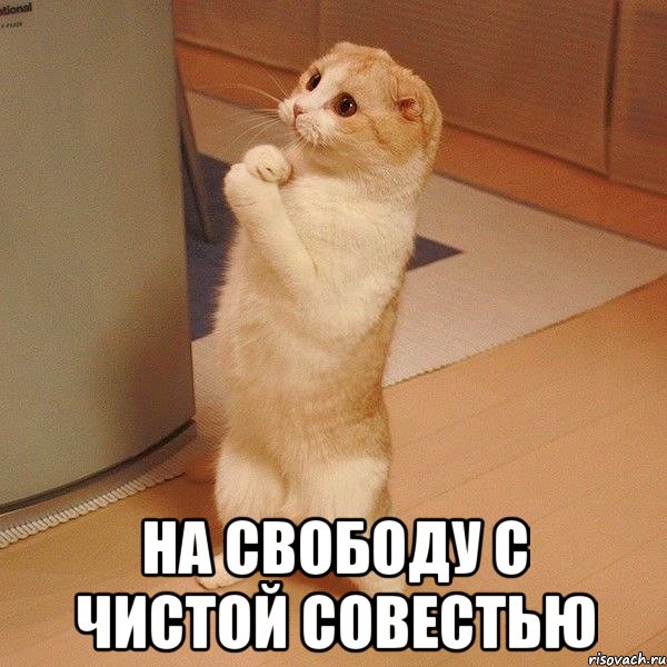 Арестован Василий