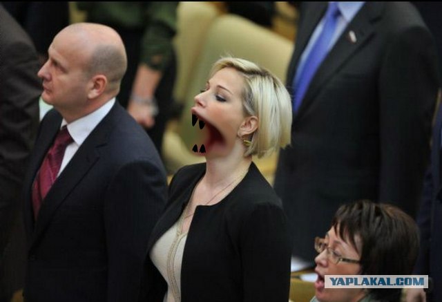 Фотожаба: Депутатка 80 lvl