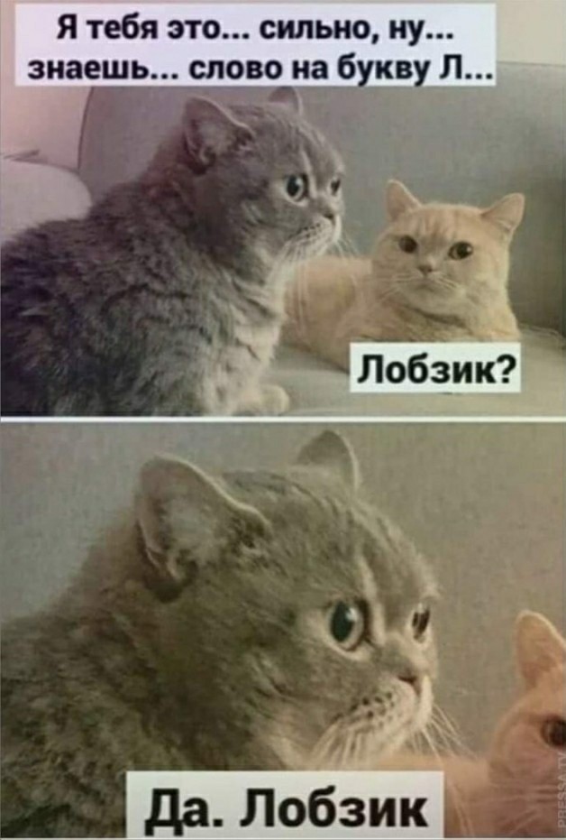 Бредзона 10.03.21