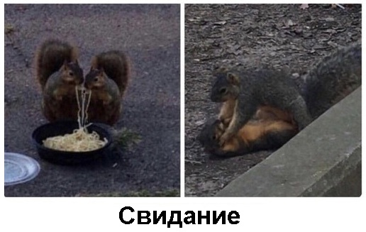Так себе картинки 12.06.21