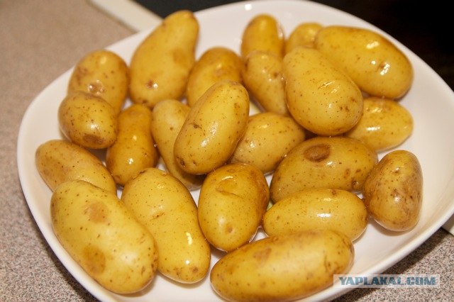 Уточка изрядная с картошечкой