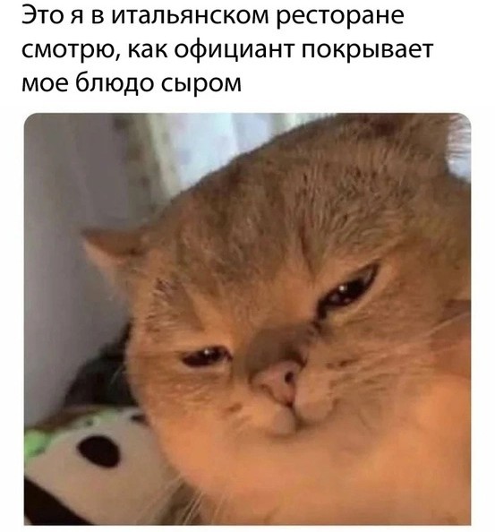 Юмор в картинках 16.08.21