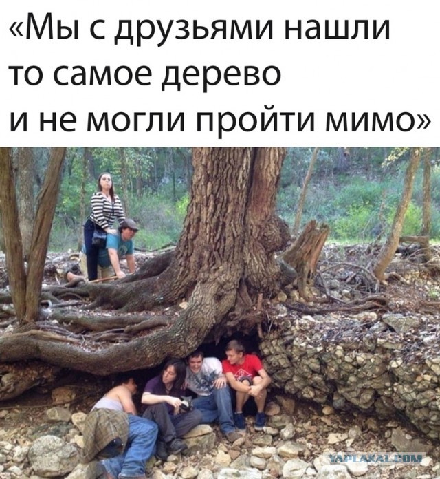 Картинки и мемы, всем прекрасных выходных