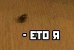 Поддал уверенности