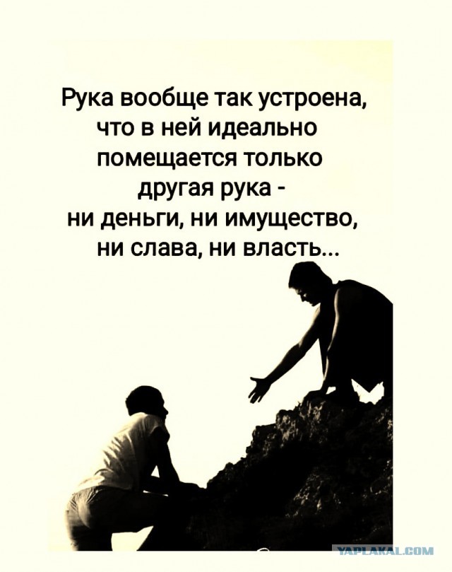 Так себе картинки 11.02.22