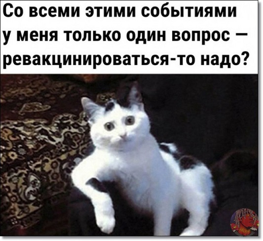 35 картинок разных 28.03.2022
