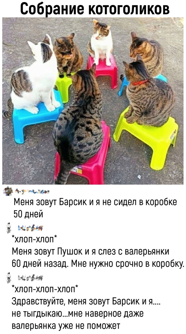 Так себе картинки 03.04.22