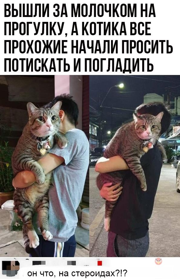 Так себе картинки 24.04.22