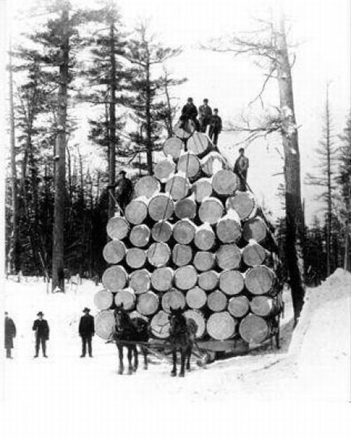 Фальшивая история человечества.