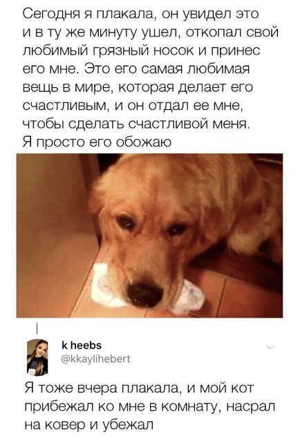Юмор в картинках и без