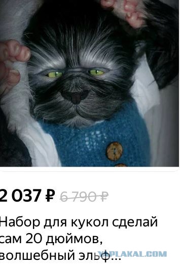 Земля-живой организм? Планетарный разум-фантастика или реальность?