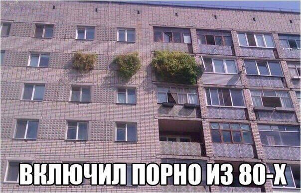 Народная меДИЧна 2012