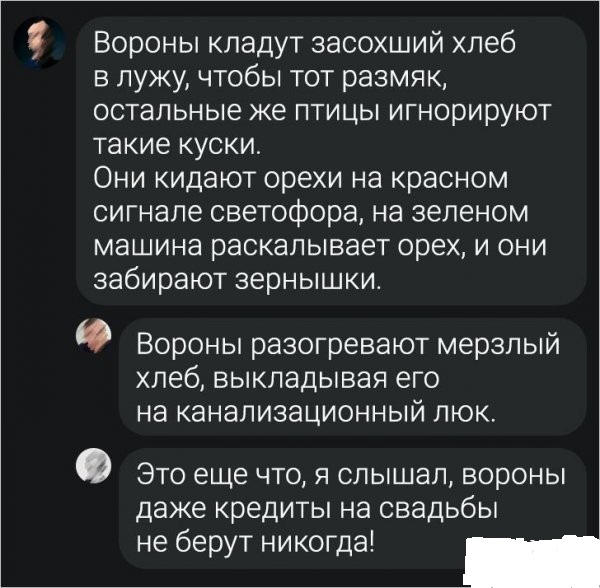 Забавные шутки и картинки из этих ваших интернетов