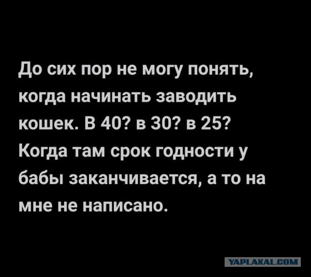 Картинки с надписями 04.12.22