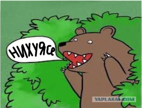 "Ми нармальные рибята, она самовольно села"