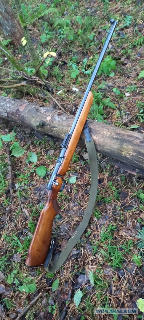 «Легендарная» ТОЗ-8: винтовка, которая первой попадалась в руки советским гражданам