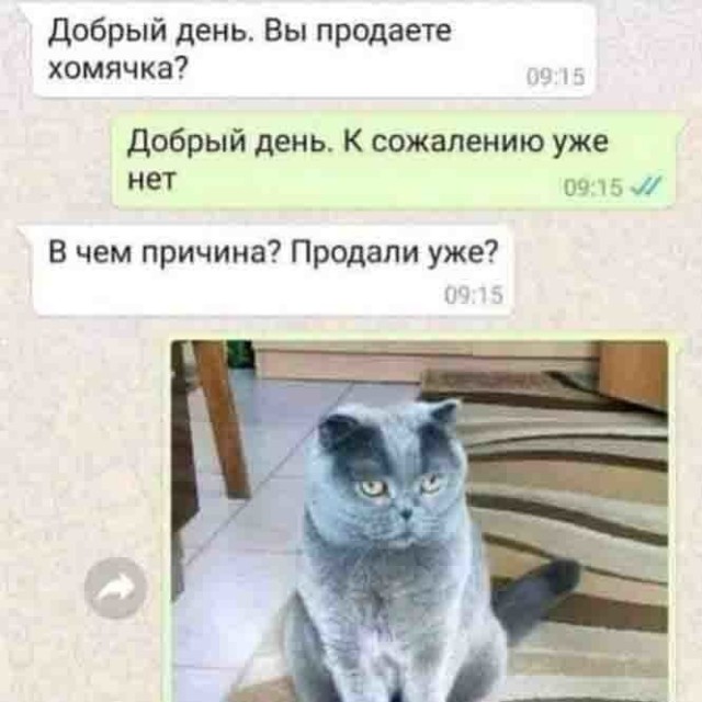 Картинки и мемы, всяко разно - 185
