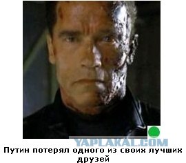 Автодемотиватор на ЯПе