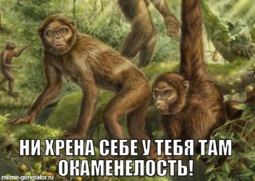 Окаменелость возрастом в шесть миллионов лет раскрыла, как человек стал прямоходящим