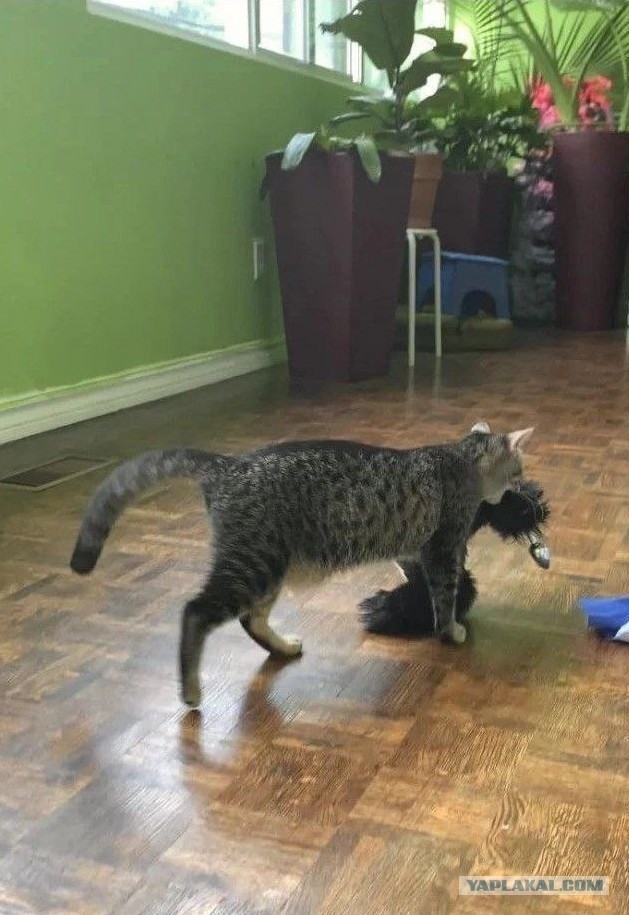 Не ищите приключений на свою пятую точку!