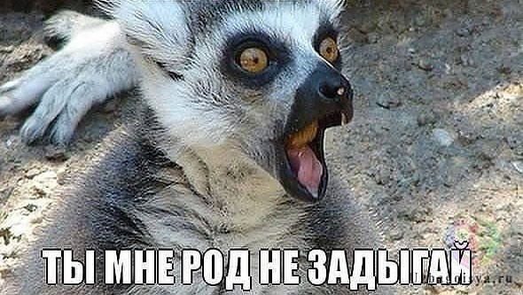 Теперь и в Playboy