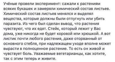 Картинки и буквы 13.06.2024