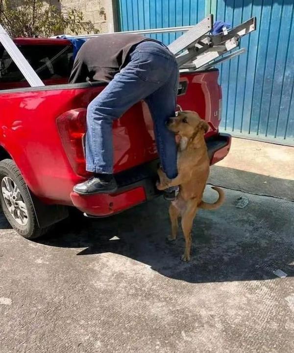 ФотоВинегрет