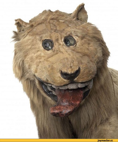 Кожаный салон)))))