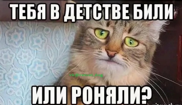 Кот с битой мем Начинаем утреннюю зарядку - ЯПлакалъ