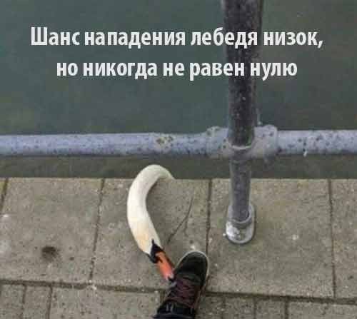 Юмор в картинках и без