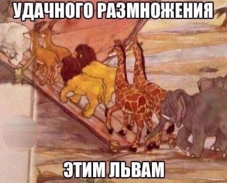 Так себе картинки 27.10.24