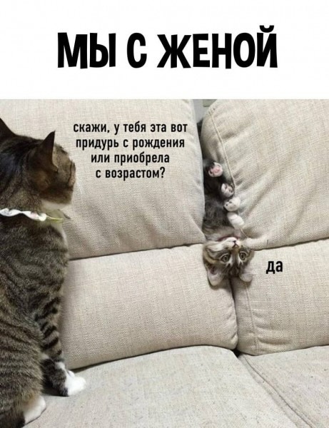 Завалялось тут случайно немного забавных картинок