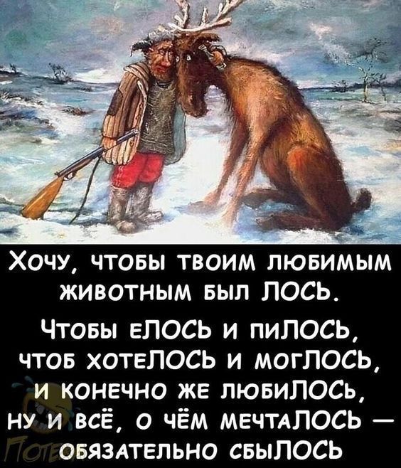 Прикольные и просто красивые картинки 06.12.2024
