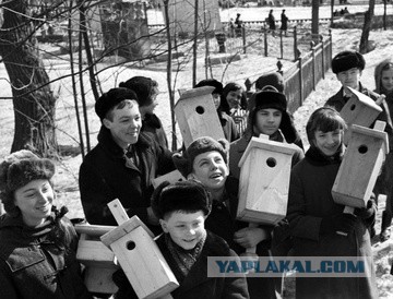 Редкие кадры и архивные снимки 29.01.25