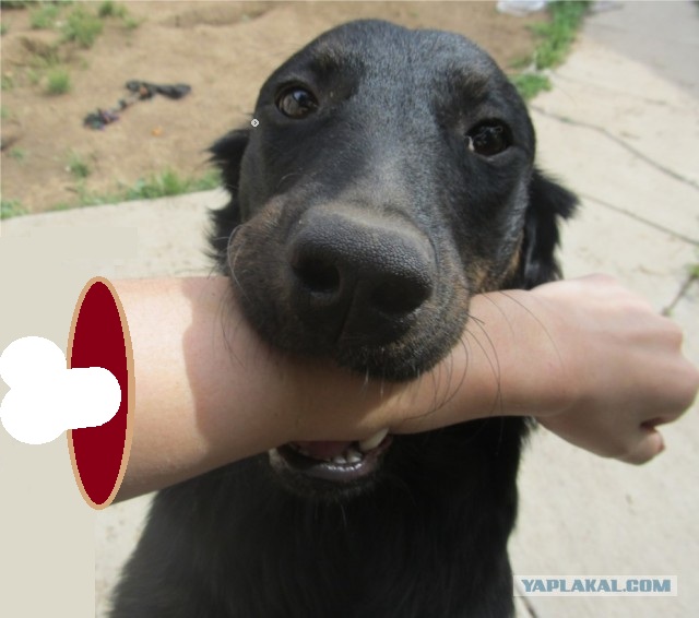 Это означает, что она тебя любит.