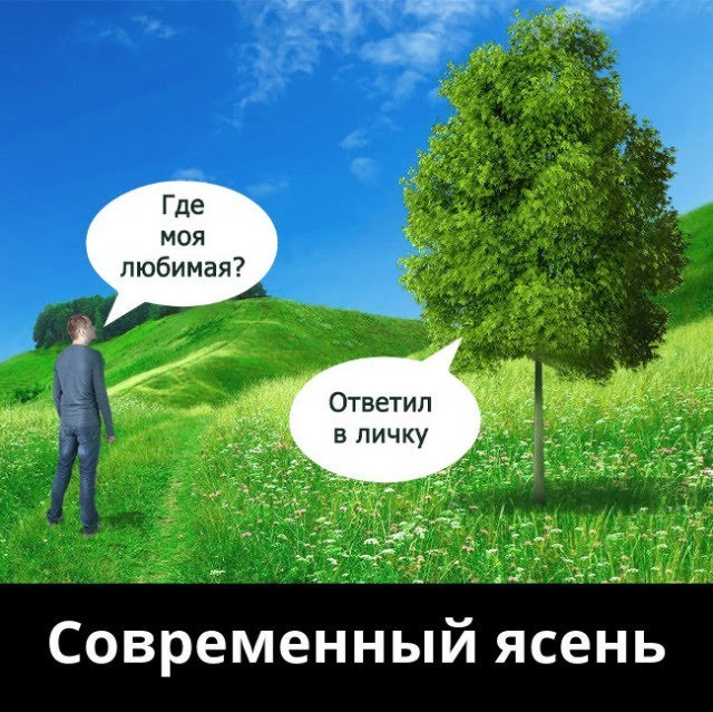 Так себе картинки 03.09.25