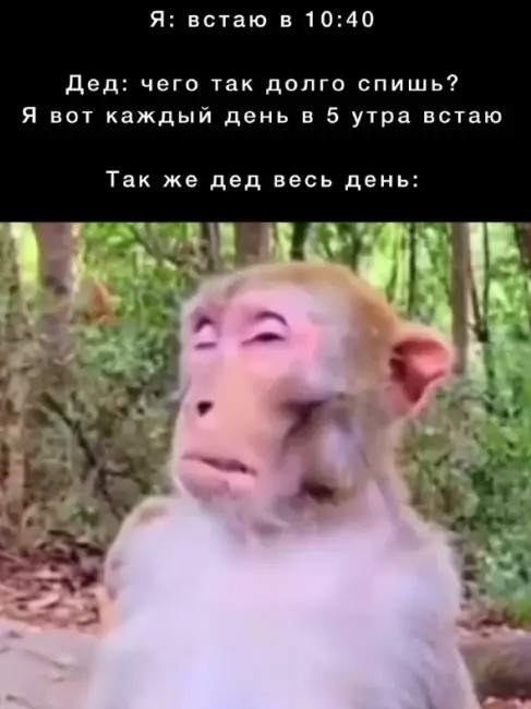 Картиночки, баянчики 03 апреля