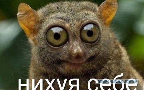 Женская дружба умерла