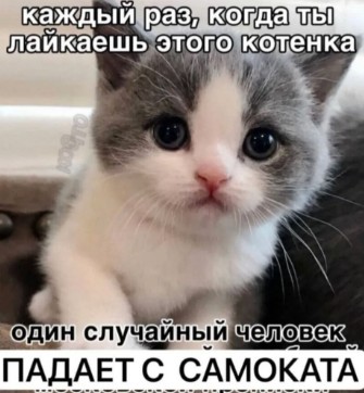 На счастье разложились