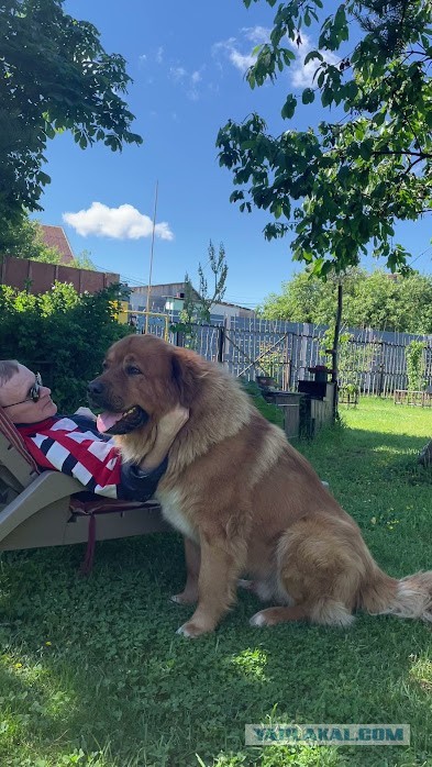 Тяжелая загородная жизнь