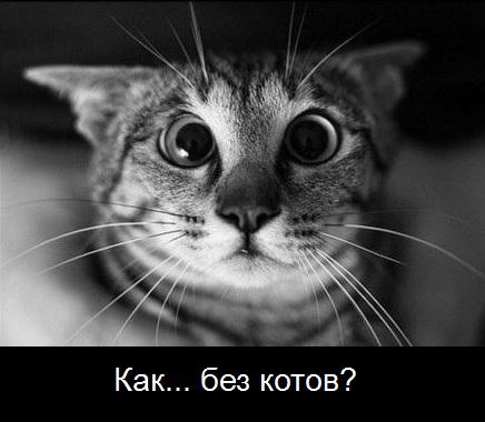 Когда переиграл в WOT