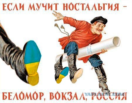 "Георгиевские " ленточки против флагов УПА