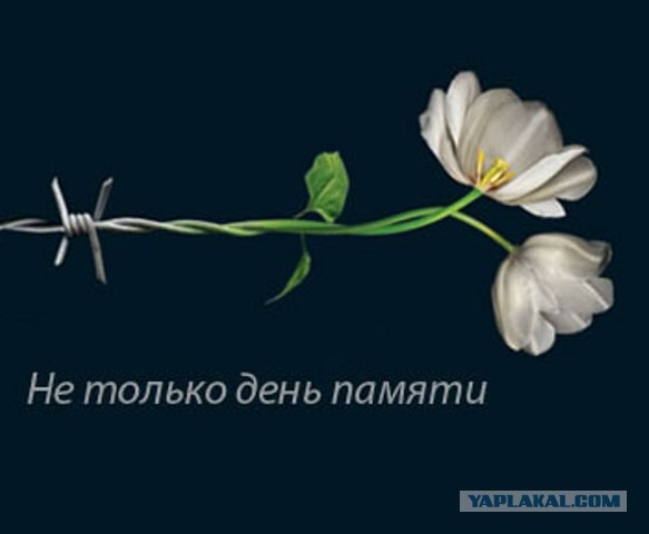 Аушвиц. Фабрика смерти 18+