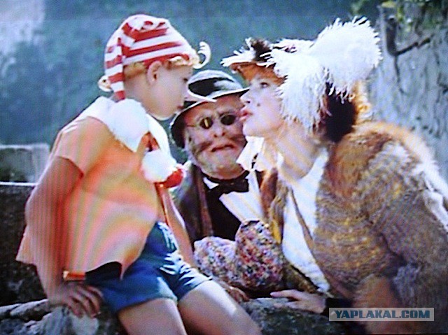 Где начинается цирк.