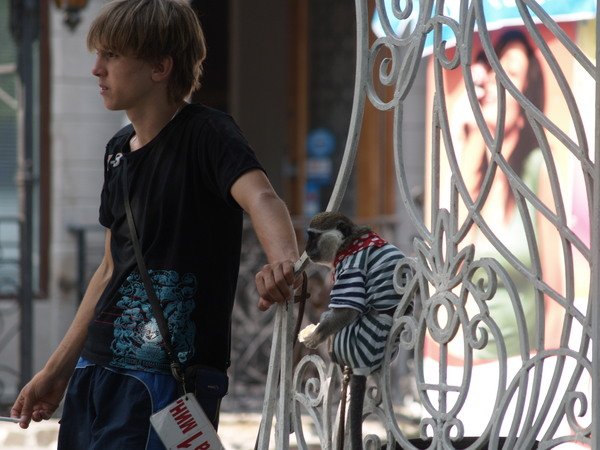 Подборка забавных и курьезных фотографий