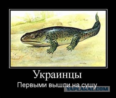 Евромайдановцы позаимствовали озвучку