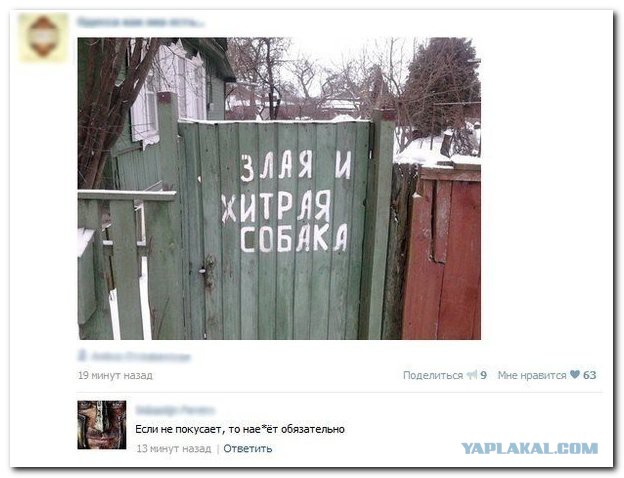 Позитивные картинки и комментарии.