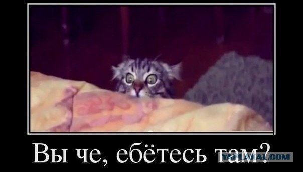 С миру по нитке. Демотиваторов чуть