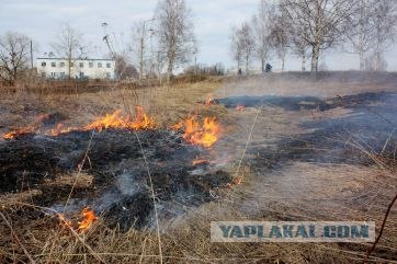 Вещи, которых никогда не будет на западе